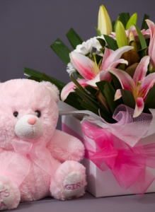 Newborn Baby Gift Baskets